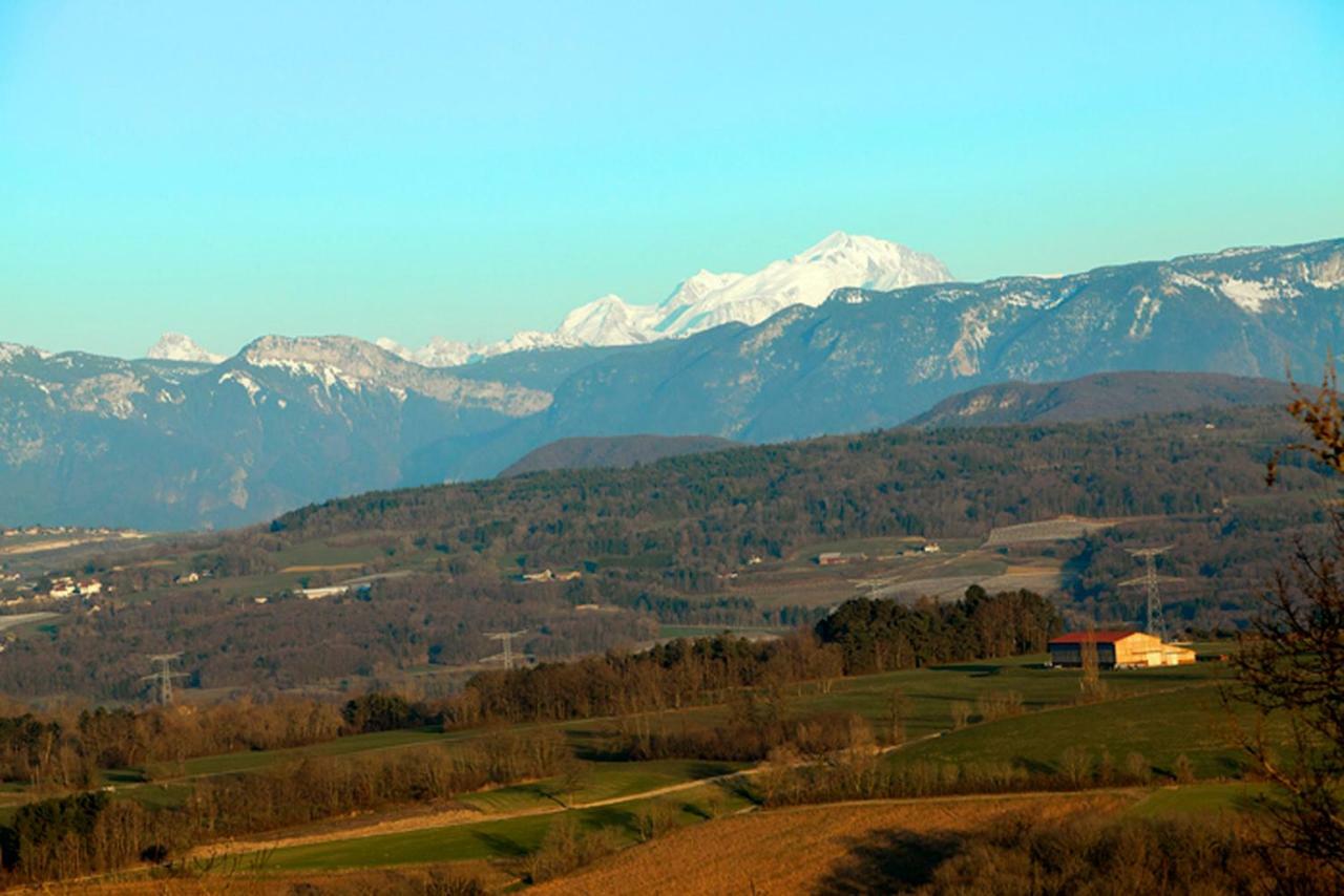 Le Manoir Bed & Breakfast Chaumont  ภายนอก รูปภาพ